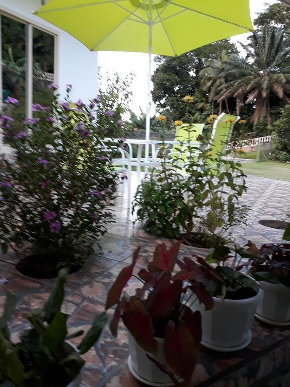 Loversnest Self Catering Anse aux Pins Ngoại thất bức ảnh