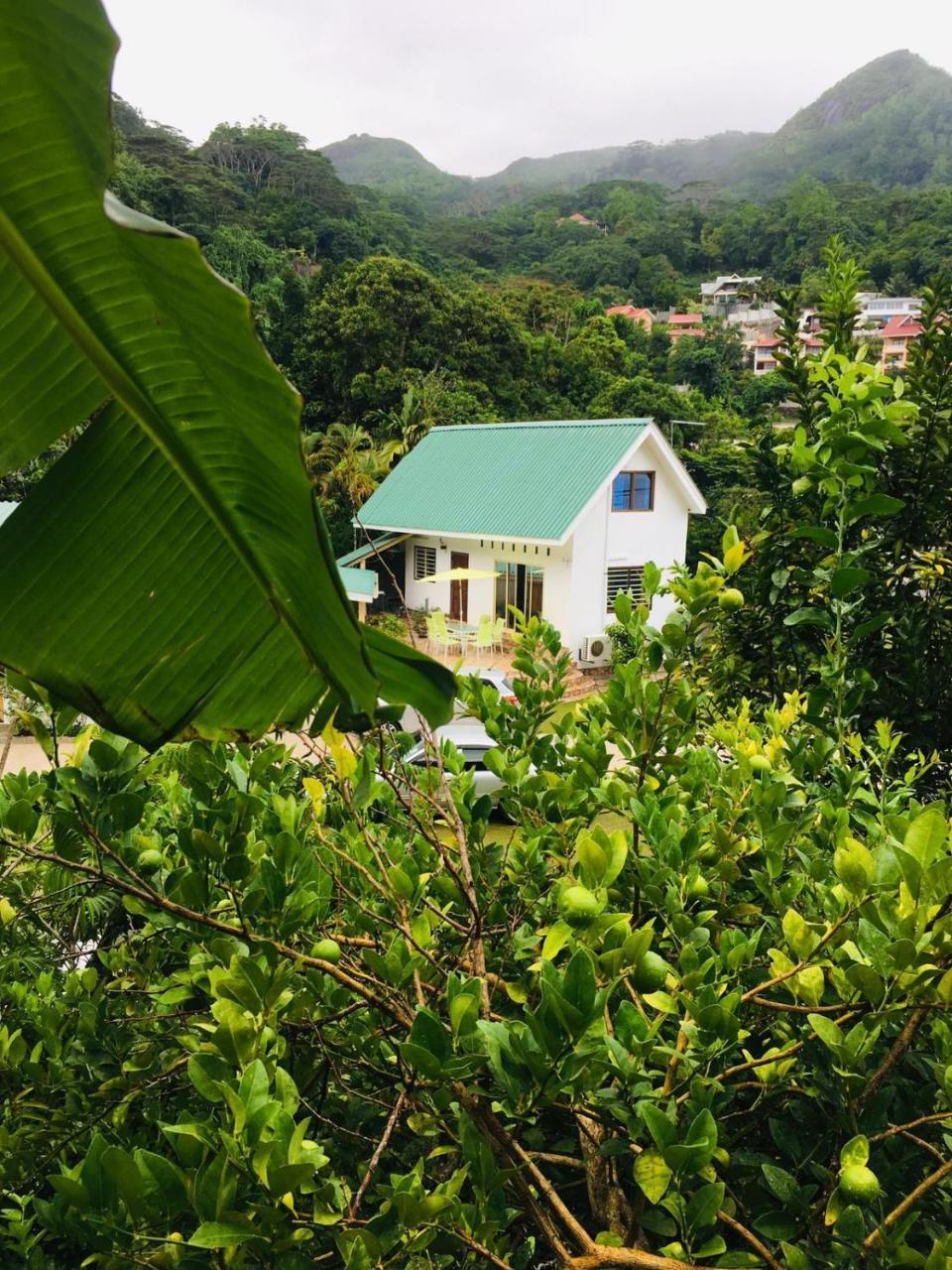 Loversnest Self Catering Anse aux Pins Ngoại thất bức ảnh